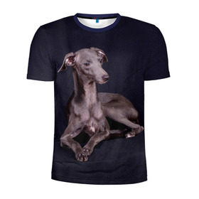 Мужская футболка 3D спортивная с принтом Левретка в Санкт-Петербурге, 100% полиэстер с улучшенными характеристиками | приталенный силуэт, круглая горловина, широкие плечи, сужается к линии бедра | животное | порода | собака
