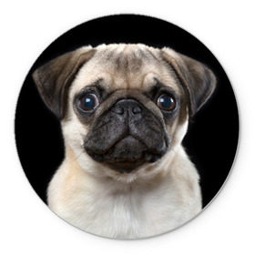 Коврик круглый с принтом Мопс в Санкт-Петербурге, резина и полиэстер | круглая форма, изображение наносится на всю лицевую часть | животное | мопс | порода | собака
