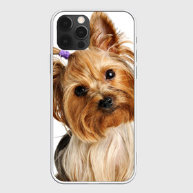 Чехол для iPhone 12 Pro Max с принтом Йоркширский терьер в Санкт-Петербурге, Силикон |  | животное | йоркширский терьер | порода | собака