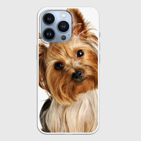 Чехол для iPhone 13 Pro с принтом Йоркширский терьер в Санкт-Петербурге,  |  | Тематика изображения на принте: животное | йоркширский терьер | порода | собака
