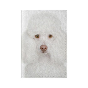 Обложка для паспорта матовая кожа с принтом Белый пудель в Санкт-Петербурге, натуральная матовая кожа | размер 19,3 х 13,7 см; прозрачные пластиковые крепления | Тематика изображения на принте: белый пудель | животное | порода | собака