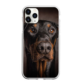 Чехол для iPhone 11 Pro матовый с принтом Доберман в Санкт-Петербурге, Силикон |  | Тематика изображения на принте: доберман | животное | порода | собака