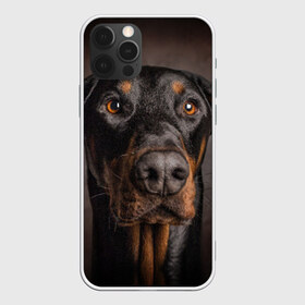 Чехол для iPhone 12 Pro Max с принтом Доберман в Санкт-Петербурге, Силикон |  | Тематика изображения на принте: доберман | животное | порода | собака