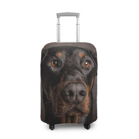 Чехол для чемодана 3D с принтом Доберман в Санкт-Петербурге, 86% полиэфир, 14% спандекс | двустороннее нанесение принта, прорези для ручек и колес | доберман | животное | порода | собака