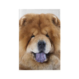 Обложка для паспорта матовая кожа с принтом Чау-чау в Санкт-Петербурге, натуральная матовая кожа | размер 19,3 х 13,7 см; прозрачные пластиковые крепления | Тематика изображения на принте: животное | порода | собака | чау чау