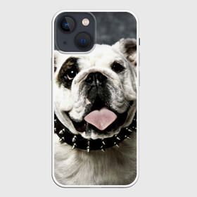 Чехол для iPhone 13 mini с принтом Английский бульдог в Санкт-Петербурге,  |  | животное | порода | собака | французский бульдог