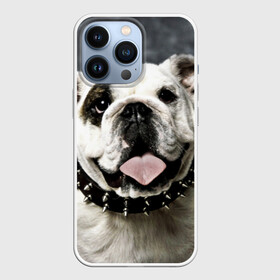 Чехол для iPhone 13 Pro с принтом Английский бульдог в Санкт-Петербурге,  |  | животное | порода | собака | французский бульдог