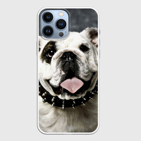 Чехол для iPhone 13 Pro Max с принтом Английский бульдог в Санкт-Петербурге,  |  | животное | порода | собака | французский бульдог