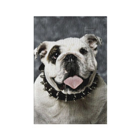 Обложка для паспорта матовая кожа с принтом Английский бульдог в Санкт-Петербурге, натуральная матовая кожа | размер 19,3 х 13,7 см; прозрачные пластиковые крепления | Тематика изображения на принте: животное | порода | собака | французский бульдог