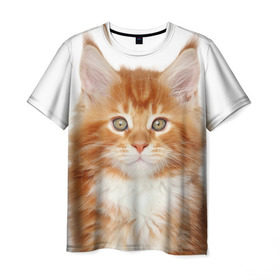 Мужская футболка 3D с принтом Рыжий котенок в Санкт-Петербурге, 100% полиэфир | прямой крой, круглый вырез горловины, длина до линии бедер | животное | порода | рыжий котенок