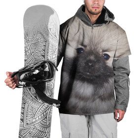 Накидка на куртку 3D с принтом Кеесхонд в Санкт-Петербурге, 100% полиэстер |  | Тематика изображения на принте: животное | кеесхонд | порода | собака