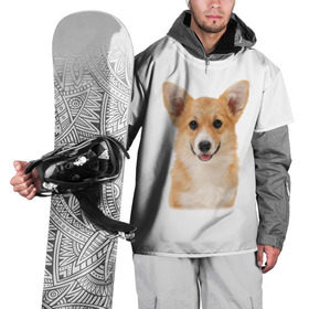 Накидка на куртку 3D с принтом Пемброк-вельш-корги в Санкт-Петербурге, 100% полиэстер |  | животное | пемброк вельш корги | порода | собака