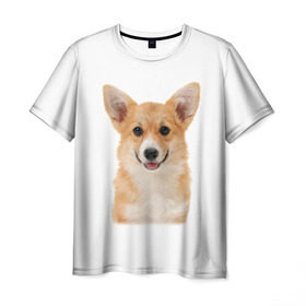 Мужская футболка 3D с принтом Пемброк-вельш-корги в Санкт-Петербурге, 100% полиэфир | прямой крой, круглый вырез горловины, длина до линии бедер | животное | пемброк вельш корги | порода | собака