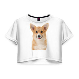 Женская футболка 3D укороченная с принтом Пемброк-вельш-корги в Санкт-Петербурге, 100% полиэстер | круглая горловина, длина футболки до линии талии, рукава с отворотами | животное | пемброк вельш корги | порода | собака