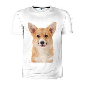 Мужская футболка 3D спортивная с принтом Пемброк-вельш-корги в Санкт-Петербурге, 100% полиэстер с улучшенными характеристиками | приталенный силуэт, круглая горловина, широкие плечи, сужается к линии бедра | животное | пемброк вельш корги | порода | собака