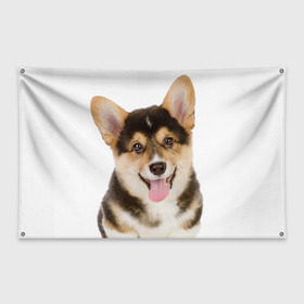 Флаг-баннер с принтом Пемброк-вельш-корги в Санкт-Петербурге, 100% полиэстер | размер 67 х 109 см, плотность ткани — 95 г/м2; по краям флага есть четыре люверса для крепления | животное | пемброк вельш корги | порода | собака