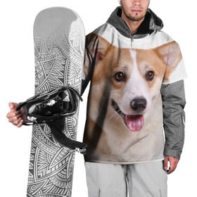 Накидка на куртку 3D с принтом Пемброк-вельш-корги в Санкт-Петербурге, 100% полиэстер |  | Тематика изображения на принте: животное | пемброк вельш корги | порода | собака