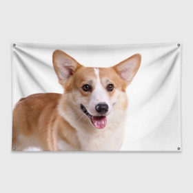 Флаг-баннер с принтом Пемброк-вельш-корги в Санкт-Петербурге, 100% полиэстер | размер 67 х 109 см, плотность ткани — 95 г/м2; по краям флага есть четыре люверса для крепления | животное | пемброк вельш корги | порода | собака