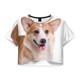 Женская футболка 3D укороченная с принтом Пемброк-вельш-корги в Санкт-Петербурге, 100% полиэстер | круглая горловина, длина футболки до линии талии, рукава с отворотами | животное | пемброк вельш корги | порода | собака