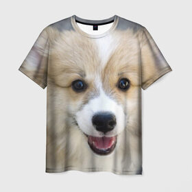 Мужская футболка 3D с принтом Пемброк-вельш-корги, собака, п в Санкт-Петербурге, 100% полиэфир | прямой крой, круглый вырез горловины, длина до линии бедер | животное | пемброк вельш корги | порода | собака