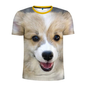 Мужская футболка 3D спортивная с принтом Пемброк-вельш-корги, собака, п в Санкт-Петербурге, 100% полиэстер с улучшенными характеристиками | приталенный силуэт, круглая горловина, широкие плечи, сужается к линии бедра | животное | пемброк вельш корги | порода | собака