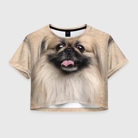 Женская футболка 3D укороченная с принтом Пекинес в Санкт-Петербурге, 100% полиэстер | круглая горловина, длина футболки до линии талии, рукава с отворотами | животное | пекинес | порода | собака