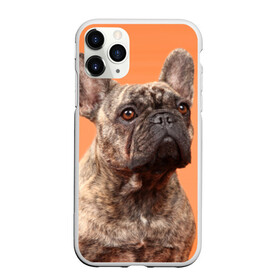 Чехол для iPhone 11 Pro матовый с принтом Французский бульдог в Санкт-Петербурге, Силикон |  | животное | порода | собака | французский бульдог