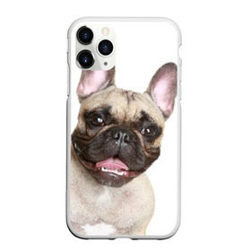 Чехол для iPhone 11 Pro матовый с принтом Французский бульдог в Санкт-Петербурге, Силикон |  | животное | порода | собака | французский бульдог