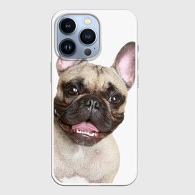 Чехол для iPhone 13 Pro с принтом Французский бульдог в Санкт-Петербурге,  |  | животное | порода | собака | французский бульдог