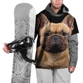 Накидка на куртку 3D с принтом Французский бульдог в Санкт-Петербурге, 100% полиэстер |  | Тематика изображения на принте: животное | порода | собака | французский бульдог