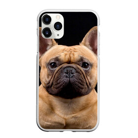 Чехол для iPhone 11 Pro Max матовый с принтом Французский бульдог в Санкт-Петербурге, Силикон |  | животное | порода | собака | французский бульдог