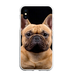 Чехол для iPhone XS Max матовый с принтом Французский бульдог в Санкт-Петербурге, Силикон | Область печати: задняя сторона чехла, без боковых панелей | животное | порода | собака | французский бульдог