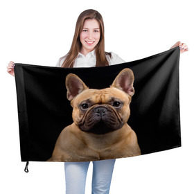 Флаг 3D с принтом Французский бульдог в Санкт-Петербурге, 100% полиэстер | плотность ткани — 95 г/м2, размер — 67 х 109 см. Принт наносится с одной стороны | животное | порода | собака | французский бульдог