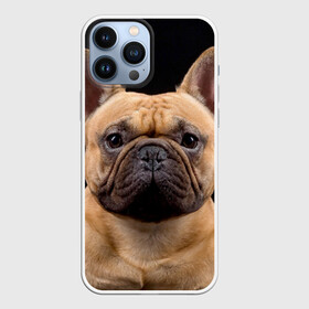 Чехол для iPhone 13 Pro Max с принтом Французский бульдог в Санкт-Петербурге,  |  | животное | порода | собака | французский бульдог