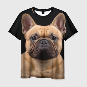 Мужская футболка 3D с принтом Французский бульдог в Санкт-Петербурге, 100% полиэфир | прямой крой, круглый вырез горловины, длина до линии бедер | Тематика изображения на принте: животное | порода | собака | французский бульдог