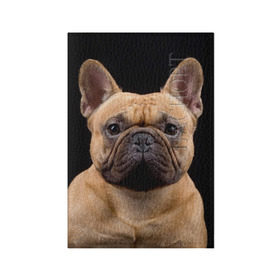 Обложка для паспорта матовая кожа с принтом Французский бульдог в Санкт-Петербурге, натуральная матовая кожа | размер 19,3 х 13,7 см; прозрачные пластиковые крепления | животное | порода | собака | французский бульдог