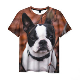 Мужская футболка 3D с принтом Бостон Терьер в Санкт-Петербурге, 100% полиэфир | прямой крой, круглый вырез горловины, длина до линии бедер | Тематика изображения на принте: животное | порода | собака | французский бульдог