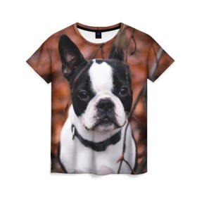 Женская футболка 3D с принтом Бостон Терьер в Санкт-Петербурге, 100% полиэфир ( синтетическое хлопкоподобное полотно) | прямой крой, круглый вырез горловины, длина до линии бедер | животное | порода | собака | французский бульдог