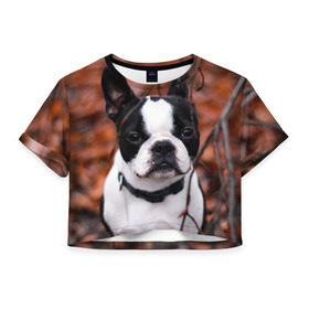 Женская футболка 3D укороченная с принтом Бостон Терьер в Санкт-Петербурге, 100% полиэстер | круглая горловина, длина футболки до линии талии, рукава с отворотами | животное | порода | собака | французский бульдог