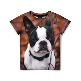Детская футболка 3D с принтом Бостон Терьер в Санкт-Петербурге, 100% гипоаллергенный полиэфир | прямой крой, круглый вырез горловины, длина до линии бедер, чуть спущенное плечо, ткань немного тянется | животное | порода | собака | французский бульдог