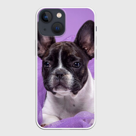 Чехол для iPhone 13 mini с принтом Французский бульдог в Санкт-Петербурге,  |  | животное | порода | собака | французский бульдог