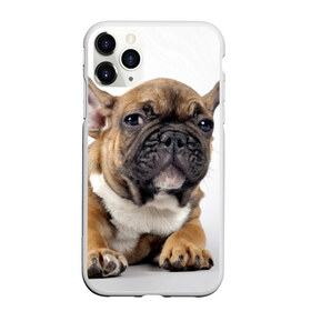 Чехол для iPhone 11 Pro матовый с принтом Французский бульдог в Санкт-Петербурге, Силикон |  | Тематика изображения на принте: животное | порода | собака | французский бульдог