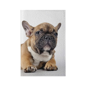 Обложка для паспорта матовая кожа с принтом Французский бульдог в Санкт-Петербурге, натуральная матовая кожа | размер 19,3 х 13,7 см; прозрачные пластиковые крепления | Тематика изображения на принте: животное | порода | собака | французский бульдог