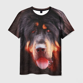 Мужская футболка 3D с принтом Тибетский мастиф в Санкт-Петербурге, 100% полиэфир | прямой крой, круглый вырез горловины, длина до линии бедер | животное | порода | собака