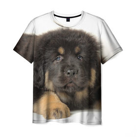 Мужская футболка 3D с принтом Тибетский мастиф в Санкт-Петербурге, 100% полиэфир | прямой крой, круглый вырез горловины, длина до линии бедер | Тематика изображения на принте: животное | порода | собака
