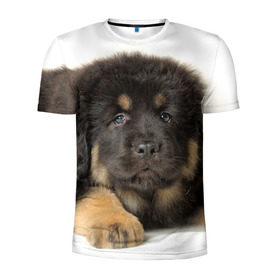 Мужская футболка 3D спортивная с принтом Тибетский мастиф в Санкт-Петербурге, 100% полиэстер с улучшенными характеристиками | приталенный силуэт, круглая горловина, широкие плечи, сужается к линии бедра | Тематика изображения на принте: животное | порода | собака