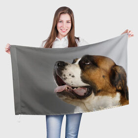 Флаг 3D с принтом Сенбернар в Санкт-Петербурге, 100% полиэстер | плотность ткани — 95 г/м2, размер — 67 х 109 см. Принт наносится с одной стороны | животное | порода | сенбернар | собака