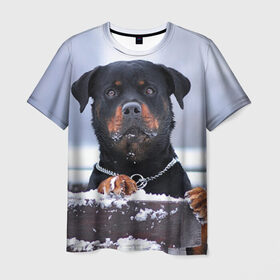 Мужская футболка 3D с принтом Ротвейлер в Санкт-Петербурге, 100% полиэфир | прямой крой, круглый вырез горловины, длина до линии бедер | животное | порода | ротвейлер | собака