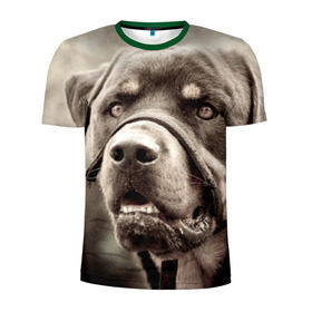 Мужская футболка 3D спортивная с принтом Ротвейлер в Санкт-Петербурге, 100% полиэстер с улучшенными характеристиками | приталенный силуэт, круглая горловина, широкие плечи, сужается к линии бедра | животное | порода | ротвейлер | собака