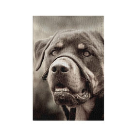 Обложка для паспорта матовая кожа с принтом Ротвейлер в Санкт-Петербурге, натуральная матовая кожа | размер 19,3 х 13,7 см; прозрачные пластиковые крепления | Тематика изображения на принте: животное | порода | ротвейлер | собака